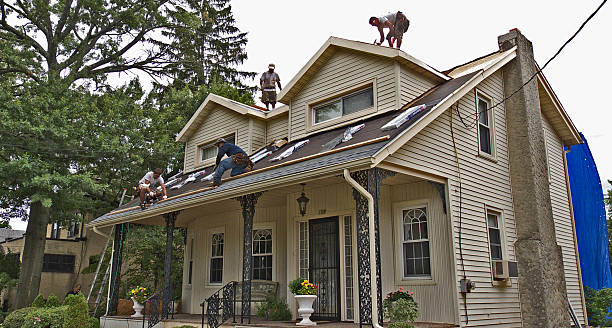Best Storm Damage Roof Repair  in Edmundson, MO